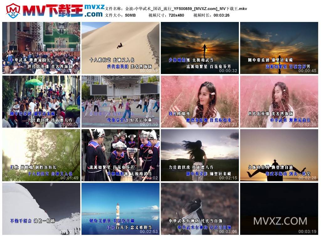 金波-中华武术_国语_流行_YF500859